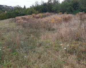 Terrain à vendre dans Feleacu