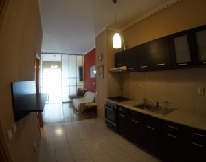 Appartement 2 chambres à louer dans Cluj-napoca, zone Plopilor