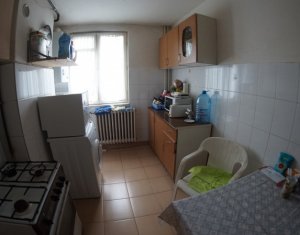 Appartement 2 chambres à louer dans Cluj-napoca, zone Andrei Muresanu