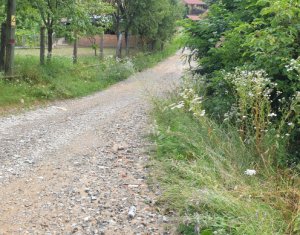 , 704m2 dans Feleacu