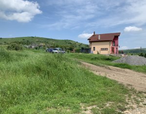 Terrain à vendre dans Cluj-napoca, zone Iris