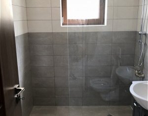 Appartement 4 chambres à louer dans Cluj-napoca, zone Europa