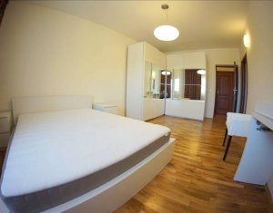 Appartement 4 chambres à louer dans Cluj-napoca, zone Andrei Muresanu