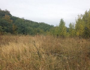 , 4912m2 dans Chinteni