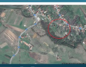 Terrain à vendre dans Chinteni