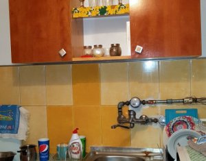 Appartement 1 chambres à louer dans Cluj-napoca, zone Zorilor