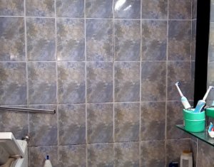 Appartement 1 chambres à louer dans Cluj-napoca, zone Zorilor
