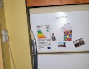 Appartement 1 chambres à louer dans Cluj-napoca, zone Zorilor