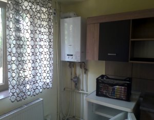 Appartement 1 chambres à louer dans Cluj-napoca