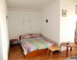 Appartement 1 chambres à louer dans Cluj-napoca, zone Marasti