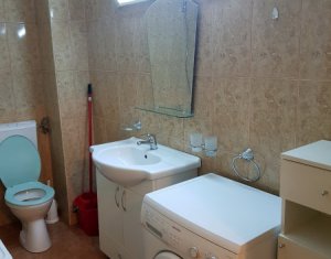Appartement 1 chambres à louer dans Cluj-napoca, zone Andrei Muresanu