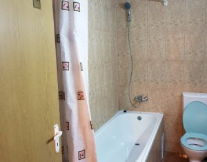 Appartement 1 chambres à louer dans Cluj-napoca, zone Andrei Muresanu