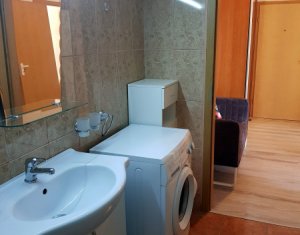 Appartement 1 chambres à louer dans Cluj-napoca, zone Andrei Muresanu