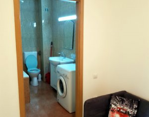 Appartement 1 chambres à louer dans Cluj-napoca, zone Andrei Muresanu