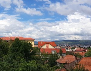 Appartement 1 chambres à louer dans Cluj-napoca, zone Andrei Muresanu
