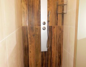 Appartement 2 chambres à louer dans Cluj-napoca, zone Gheorgheni