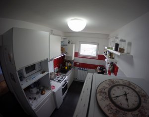 Appartement 2 chambres à louer dans Cluj-napoca, zone Manastur