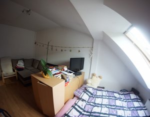 Appartement 1 chambres à louer dans Cluj-napoca, zone Intre Lacuri