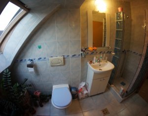 Appartement 1 chambres à louer dans Cluj-napoca, zone Intre Lacuri