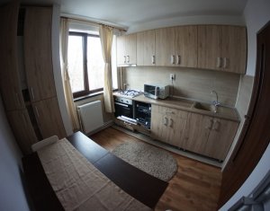 Appartement 2 chambres à louer dans Cluj-napoca, zone Gheorgheni