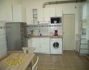 Appartement 1 chambres à louer dans Cluj-napoca, zone Centru