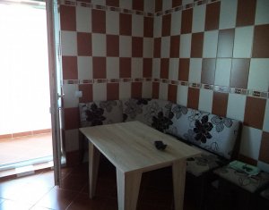 Appartement 2 chambres à louer dans Cluj-napoca, zone Manastur