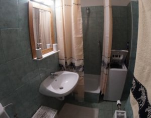 Appartement 1 chambres à louer dans Cluj-napoca, zone Marasti