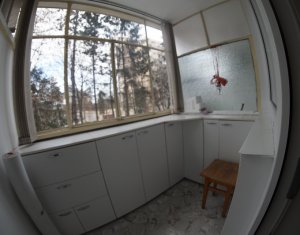 Appartement 1 chambres à louer dans Cluj-napoca, zone Gheorgheni