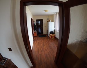 Appartement 1 chambres à louer dans Cluj-napoca, zone Andrei Muresanu
