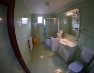 Appartement 1 chambres à louer dans Cluj-napoca, zone Andrei Muresanu
