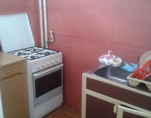 Appartement 1 chambres à louer dans Cluj-napoca, zone Manastur