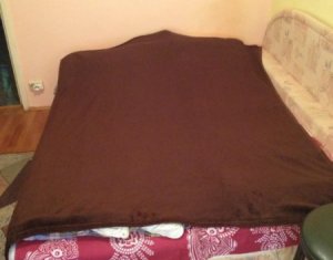 Appartement 3 chambres à louer dans Cluj-napoca, zone Marasti