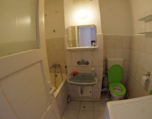 Appartement 1 chambres à louer dans Cluj-napoca, zone Baciu