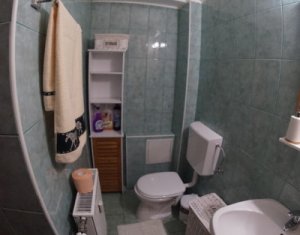 Appartement 1 chambres à louer dans Cluj-napoca, zone Marasti