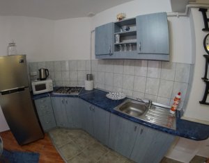 Appartement 1 chambres à louer dans Cluj-napoca, zone Marasti