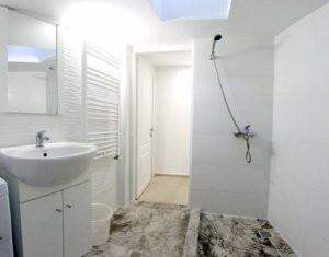 Appartement 1 chambres à louer dans Cluj-napoca, zone Marasti