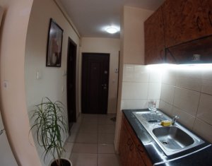 Appartement 1 chambres à louer dans Cluj-napoca, zone Marasti
