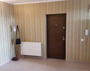 Appartement 2 chambres à louer dans Cluj-napoca, zone Gruia