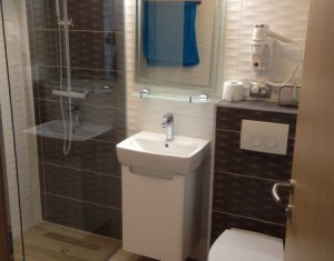Appartement 3 chambres à louer dans Cluj-napoca, zone Andrei Muresanu