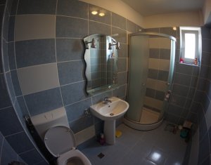 Appartement 3 chambres à louer dans Cluj-napoca, zone Buna Ziua