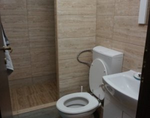 Appartement 1 chambres à louer dans Cluj-napoca, zone Marasti