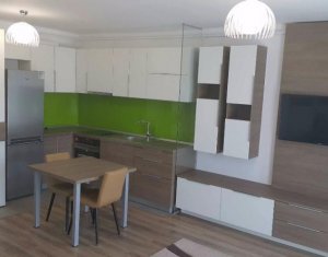 Appartement 1 chambres à louer dans Cluj-napoca, zone Andrei Muresanu