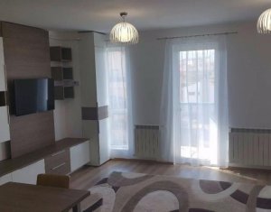 Appartement 1 chambres à louer dans Cluj-napoca, zone Andrei Muresanu