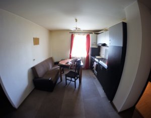 Appartement 2 chambres à louer dans Cluj-napoca, zone Manastur