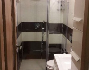 Appartement 1 chambres à louer dans Cluj-napoca