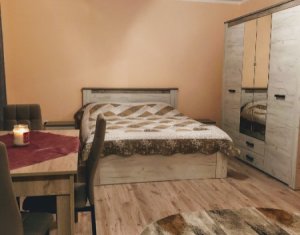 Appartement 1 chambres à louer dans Cluj-napoca, zone Andrei Muresanu
