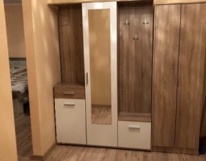 Appartement 1 chambres à louer dans Cluj-napoca, zone Andrei Muresanu