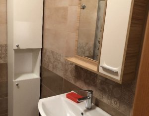 Appartement 1 chambres à louer dans Cluj-napoca, zone Andrei Muresanu