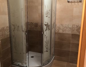 Appartement 1 chambres à louer dans Cluj-napoca, zone Andrei Muresanu