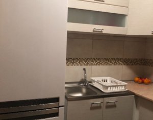 Appartement 1 chambres à louer dans Cluj-napoca, zone Andrei Muresanu